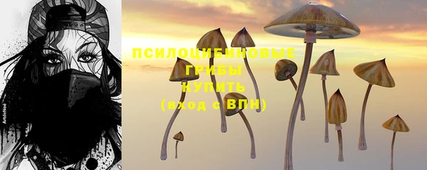 крисы Беломорск