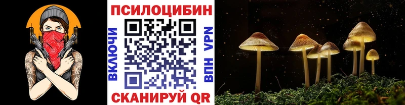 shop формула  Губкинский  Псилоцибиновые грибы GOLDEN TEACHER 
