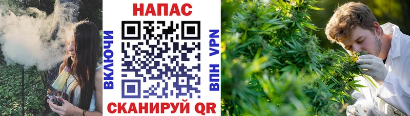 Шишки марихуана тримм  наркота  Губкинский 